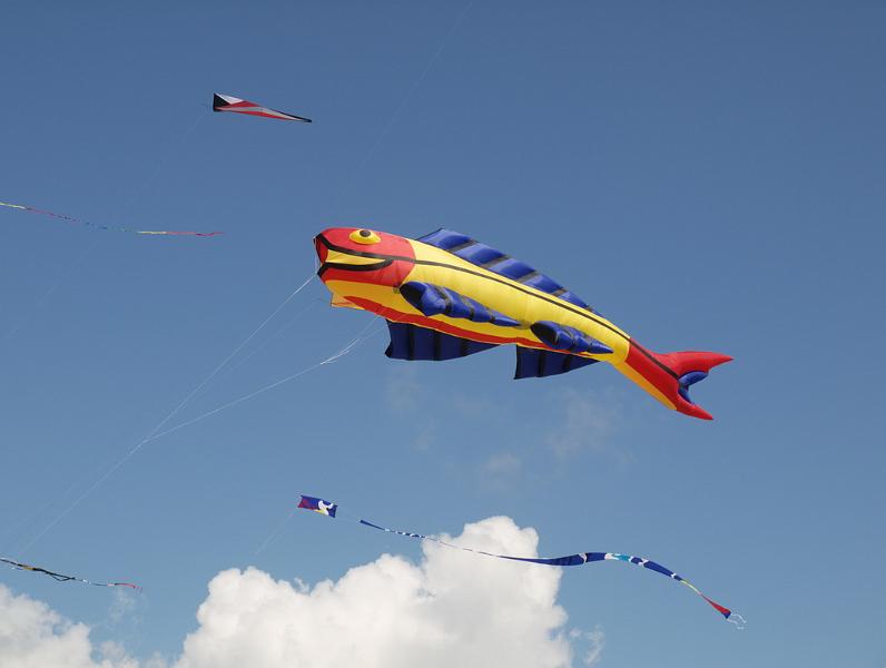 Fanø 2009 39.jpg